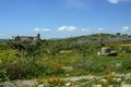 Roman era ruins, Volubilis, Morocco