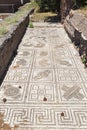 Roman excavations of Ostia Antica: Mosaic of the Province Royalty Free Stock Photo