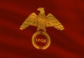 Roman flag with golden eagle