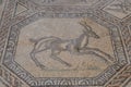 Roman floor mosaics, Aquileia, Italy