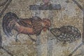 Roman floor mosaics, Aquileia, Italy