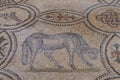 Roman floor mosaics, Aquileia, Italy