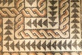 Roman floor mosaics