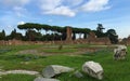 Forum was the center of day-to-day life in Rome Royalty Free Stock Photo