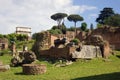 Roman forum Italy history of the triumphal arch of the Emperor Titus antique