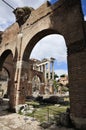 Roman Forum North Royalty Free Stock Photo