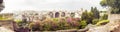 The Roman Forum panorama