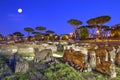 Roman Forum in Rome by night, Italy - HDR Royalty Free Stock Photo