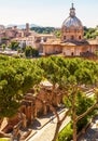 Roman Forum ruins, Rome, Italy. Aerial vertical view of famous tourist attraction