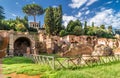 Roman Forum ruins in summer, Rome, Italy Royalty Free Stock Photo