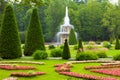 Roman fountain in Peterhof