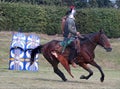 Roman Horsemann On Target