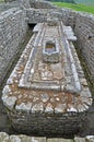 Roman Latrines