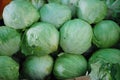 Roman lettuce Pile Vegetables background Royalty Free Stock Photo