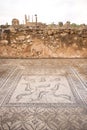 Roman marble mosaic at Volubilis, N Morocco