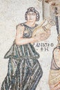 Roman mosaic