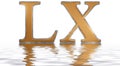 Roman numeral LX, sexaginta, 60, sixty, reflected on the water s