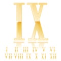 Roman numeral Nine. Golden 3d sign