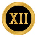 Roman numeral twelve