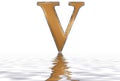 Roman numeral V, quinque, 5, five, reflected on the water surface, isolated on white, 3d render