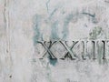 Roman numerals 23