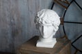 Roman plaster head of Antinous. Art Object
