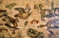 Roman Pompeian mosaic representing mitolgical figures