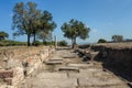 A Roman road in the archeological site of Apollo Smintheion sanc