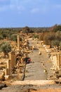 Roman road of Umm Qais, Jordan