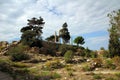 Roman ruins of Byblos, Mediterranean coast, Lebanon Royalty Free Stock Photo