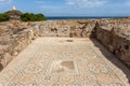 Roman ruins with mosaic