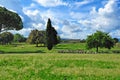 Roman ruins, Paestum