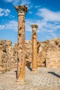 Roman ruins Sanctuaire Esculape Thuburbo Majus Tunisia