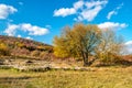 Roman ruins Villa Rustica under colorful autumn forest, hill, November, Slovakia, near Bratislava