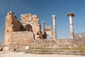 Roman ruins of Volubilis, Morocco Royalty Free Stock Photo