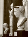 Roman statues in the Hermitage hall. Monochrome, sepia Royalty Free Stock Photo
