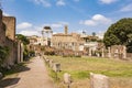 Roman statues at House of the Vestals in Roman Forum , Rome, Italy.