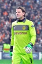 Roman Weidenfeller portrait Royalty Free Stock Photo