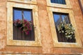 ROMAN WINDOWS.