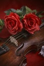 Valentine violin with red roses on a dark red background Royalty Free Stock Photo