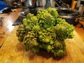 Romanesc cauliflower head Royalty Free Stock Photo
