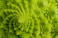 Romanesco Royalty Free Stock Photo