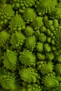 Romanesco also known as Roman cauliflower, Broccolo Romanesco, Romanesque cauliflower, species Brassica oleracea Royalty Free Stock Photo