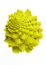 Romanesco (Brassicae oleracea)