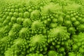 Romanesco broccoli Royalty Free Stock Photo