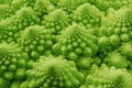 Romanesco broccoli Royalty Free Stock Photo