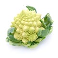 Romanesco broccoli