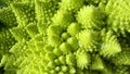 Romanesco broccoli Royalty Free Stock Photo