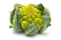 Romanesco broccoli cabbage isolated Royalty Free Stock Photo