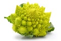 Romanesco broccoli cabbage isolated